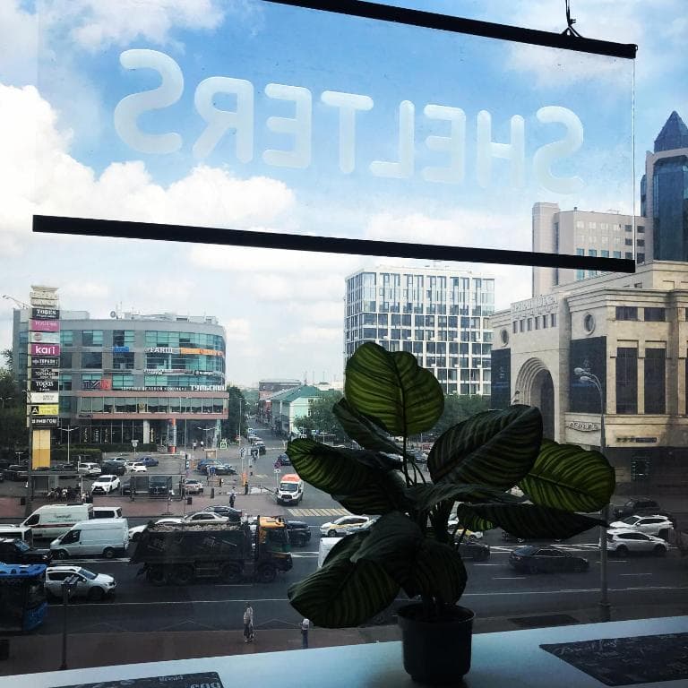 SHELTERZ Тульская: номер